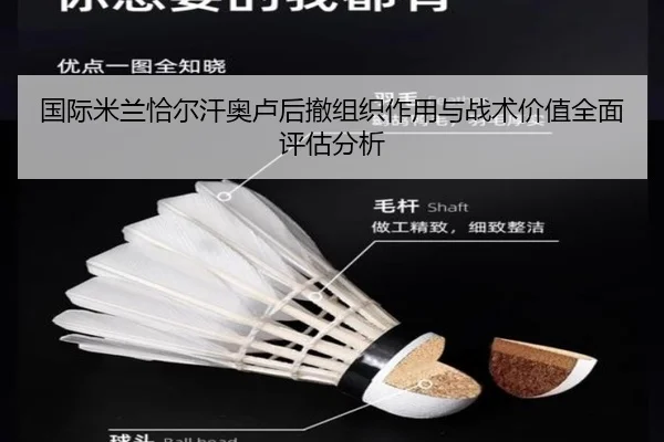 国际米兰恰尔汗奥卢后撤组织作用与战术价值全面评估分析