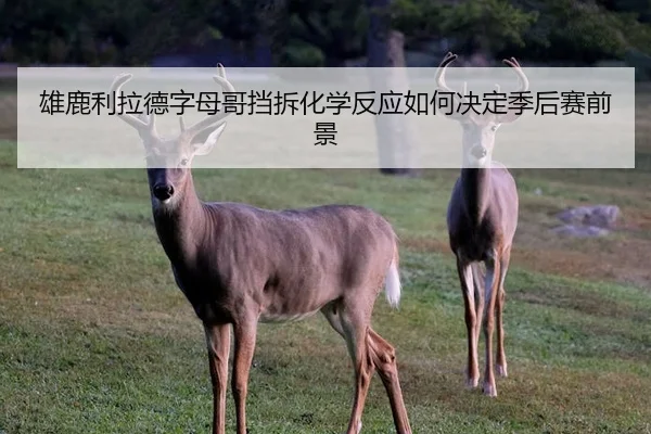 雄鹿利拉德字母哥挡拆化学反应如何决定季后赛前景