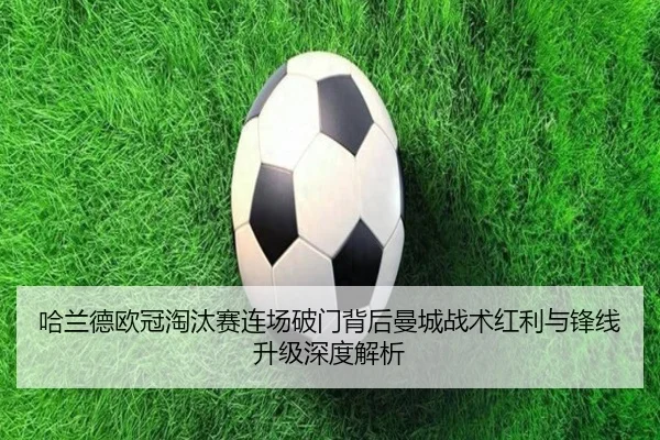 img_1782153475003_860_1_202.jpg