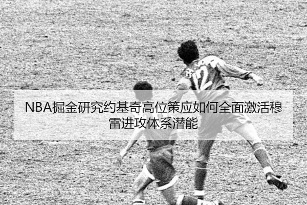 NBA掘金研究约基奇高位策应如何全面激活穆雷进攻体系潜能